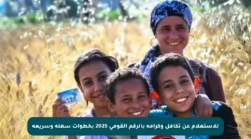 للاستعلام عن تكافل وكرامة بالرقم القومي 2025 بخطوات سهلة وسريعة